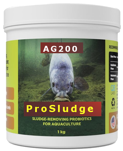 AP200